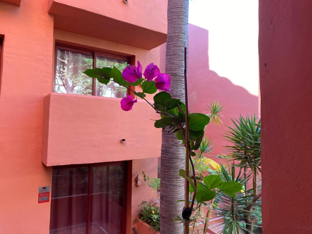 Apartament Don Carlos Marbella